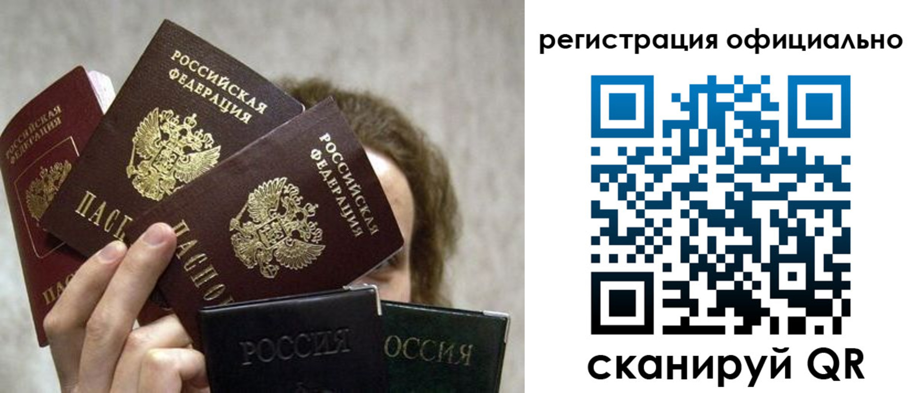 где прописаться в Звенигово